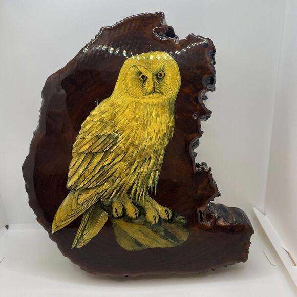 Owl Print Live Edge Solid Wood Slab Decoupage Mid Century Vintage 9x9”